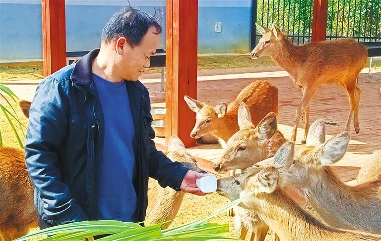 高质量发展产业调研】林下生金mg不朽情缘游戏网站登录【(图2)